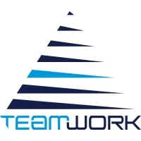 TEAMWORK MANAGEMENT FRANCE