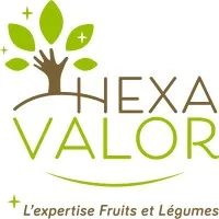 SAS HEXAVALOR