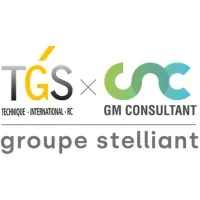 GM CONSULTANT CONSEIL