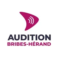 EURL BRIBES (AUDIOPIC)