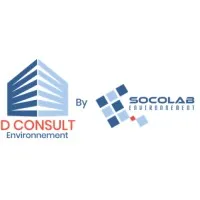 D CONSULT