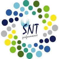 S.N.T PERFORMANCE