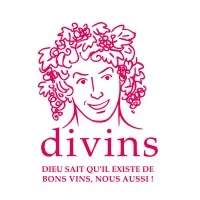 DIVINS