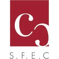 SOC FIDUCIAIRE D'EXPERTISE COMPTABLE (SFEC)