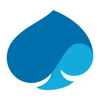 CAPGEMINI CONSULTING