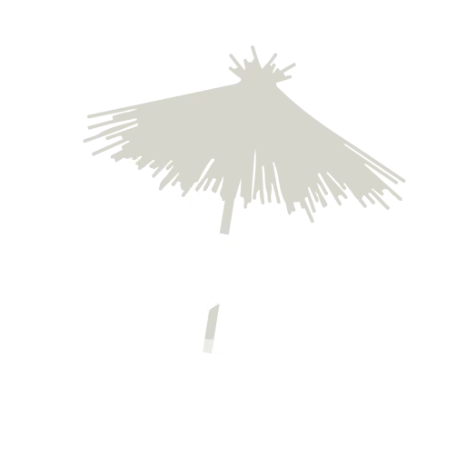 FOU DU ROI (FOU DU ROI)