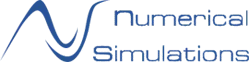 NUMERICAL SIMULATIONS (RDNS)