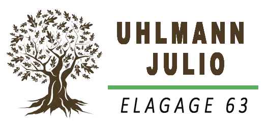UHLMANN JULIO