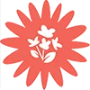 AAMD SERVICES (AGE D'OR SERVICES PERPIGNAN)