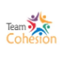 TEAM COHESION - TRIUM CONSULTING