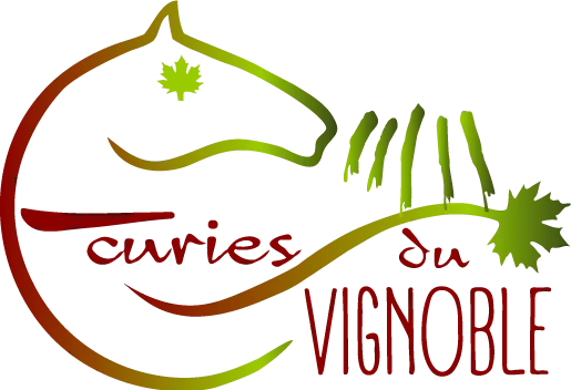 SPORTS ET LOISIRS EQUESTRES