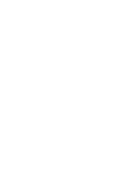 SARL DU BUISSON