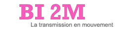 BI 2M (BI 2 M TECHNOLOGIE)