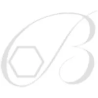 BRAMI SUPERALLIAGES (BRAMI METAUX ET ALLIAGES SPECIAUX)