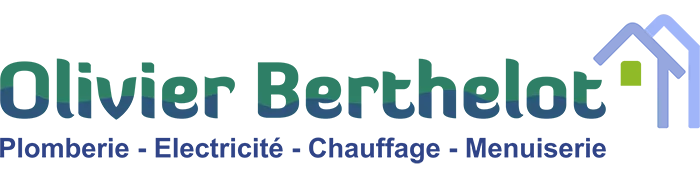 BERTHELOT OLIVIER