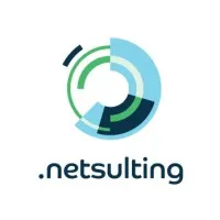 NETSULTING (WSI)