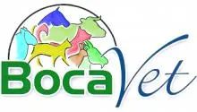 BOCAVET