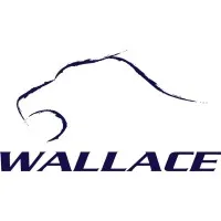 WALLACE GROUP