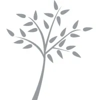 MG FINANCE