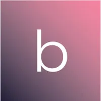 B-NETWORK