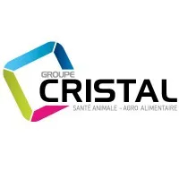 CHRYSALIDE (GROUPE CRISTAL)