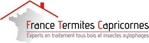 FRANCE TERMITES CAPRICORNES (FRANCE TERMITES CAPRICORNES)