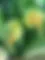 NATURE ET DES COURGETTES