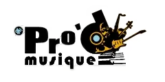 PRO ' D MUSIQUE
