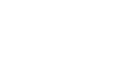 SELLERIE FLEUR DE LYS