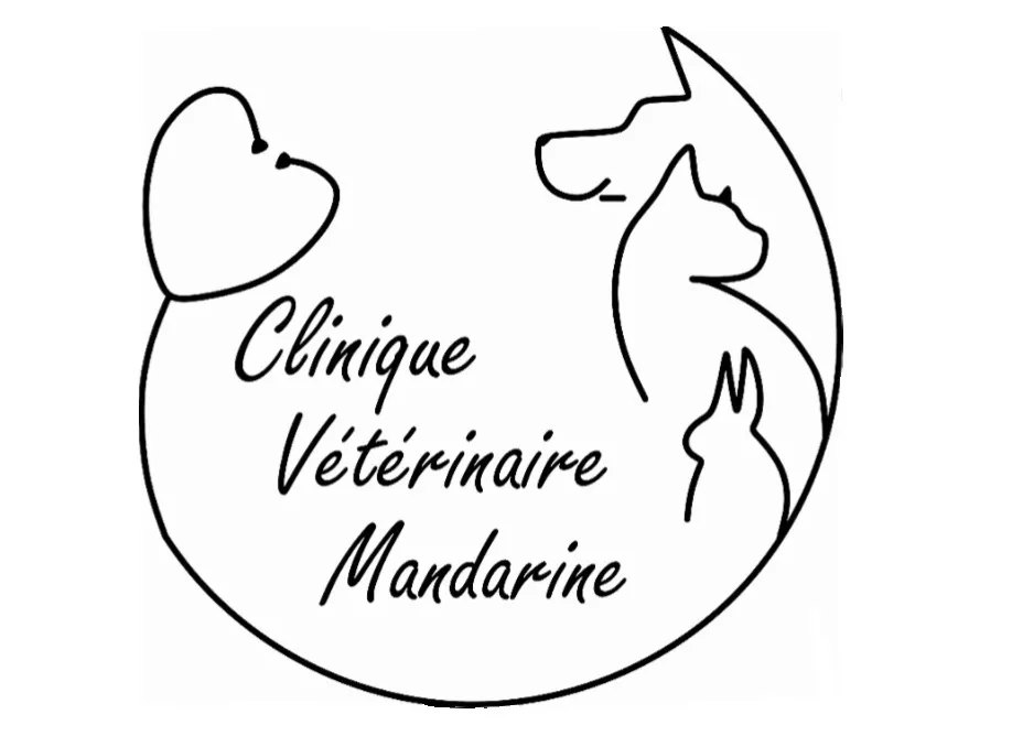 SOCIETE D'EXERCICE LIBERAL A RESPONSABILITE LIMITEE DE VETERINAIRES MANDARINE