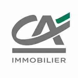 CYBER CONSEIL & ASSISTANCE