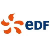 EDF INTERNATIONAL NETWORKS