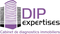 DIP EXPERTISES