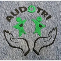 AUDO-TRI ( TRAVAIL RECUPERATION INSERTION )