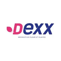 DEXX LYON (DEXX)