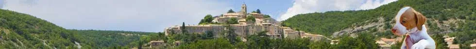 SARL DOMAINE DE CARLONE