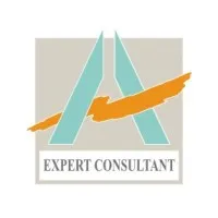 EXPERT - CONSULTANT (EXPERT - CONSULTANT)