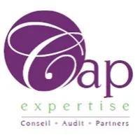 CONSEIL AUDIT PARTNERS EXPERTISE (CAP EXPERTISE)