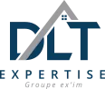 DLT EXPERTISE