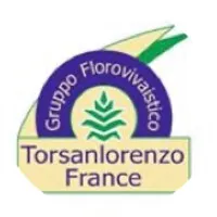 TORSANLORENZO FRANCE (SARL TORSANLORENZO FRANCE)