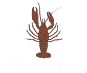 L ECREVISSE