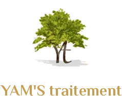 YAM'S TRAITEMENT (EURL YAM'S TRAITEMENT)