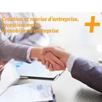 FIDANCE (EXPERTISE CREDITS)