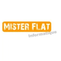 MISTER FLAT INFORMATIQUE (MFI)