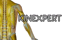 KINEXPERT