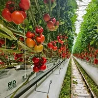 LES JARDINS DE CAMARGUE