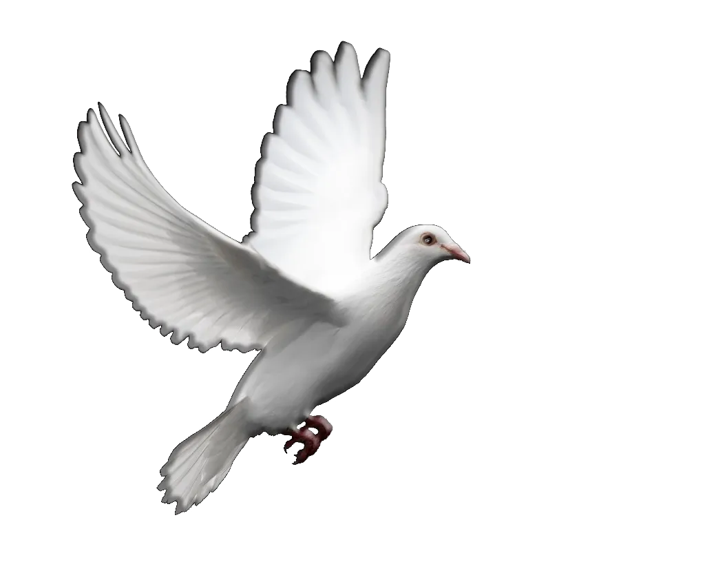 LA FACE CACHEE (LA FACE CACHEE)