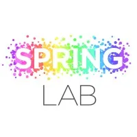 SPRING LAB SAS (DYNA MARK)