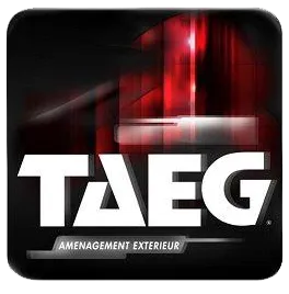 T A E G