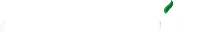 CB BOIS (CB BOIS)